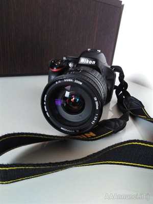 Nikon D5100 Sigma 28-300 Sigma 30mmMacro