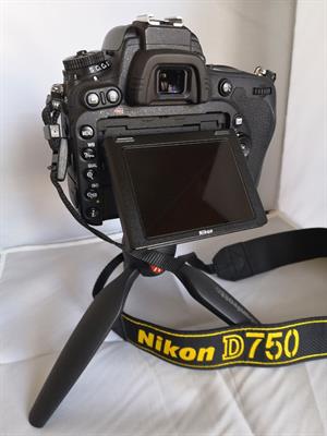 Foto - 7