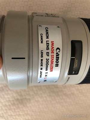 Canon EF 300mm 1:4 L IS